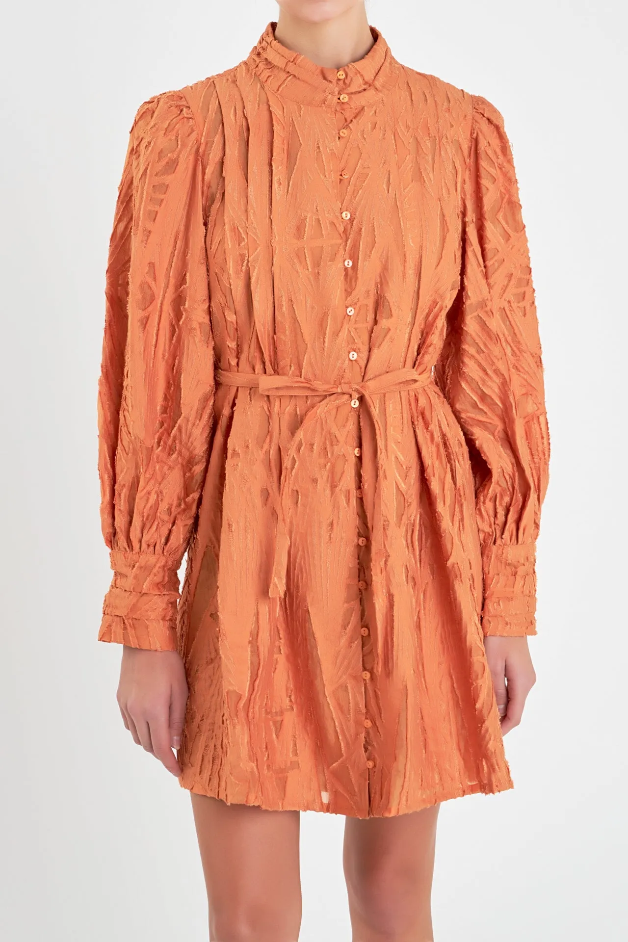 Burnout Organza Mini Tie Dress