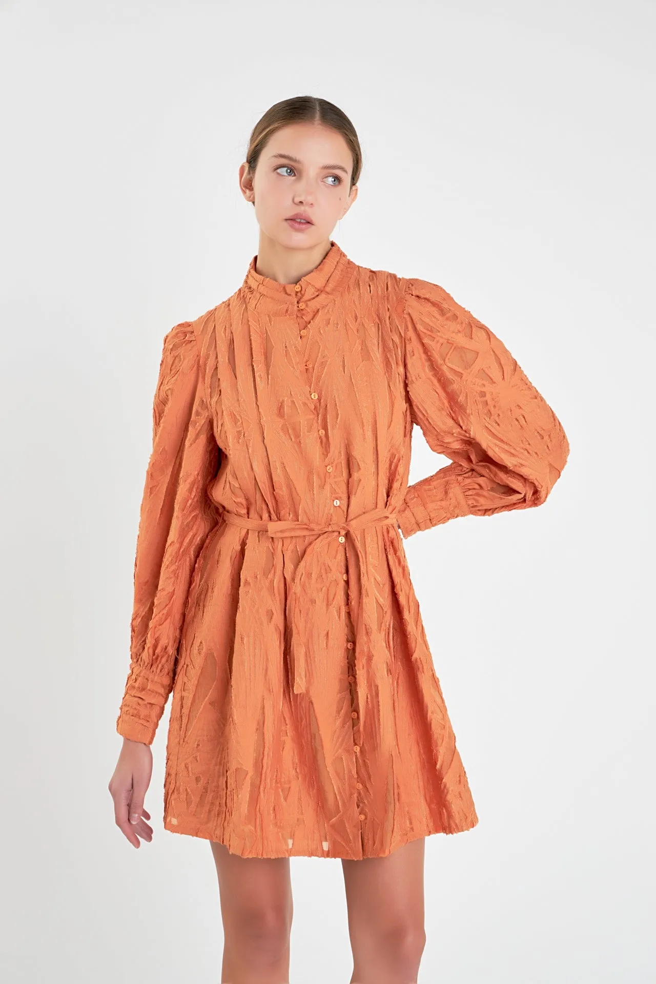 Burnout Organza Mini Tie Dress
