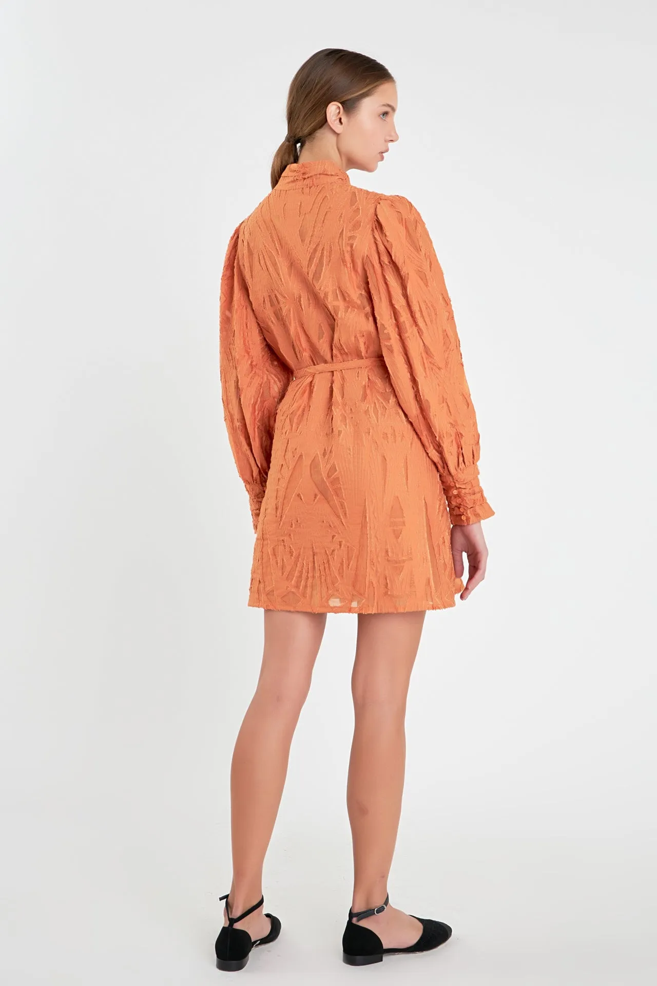 Burnout Organza Mini Tie Dress