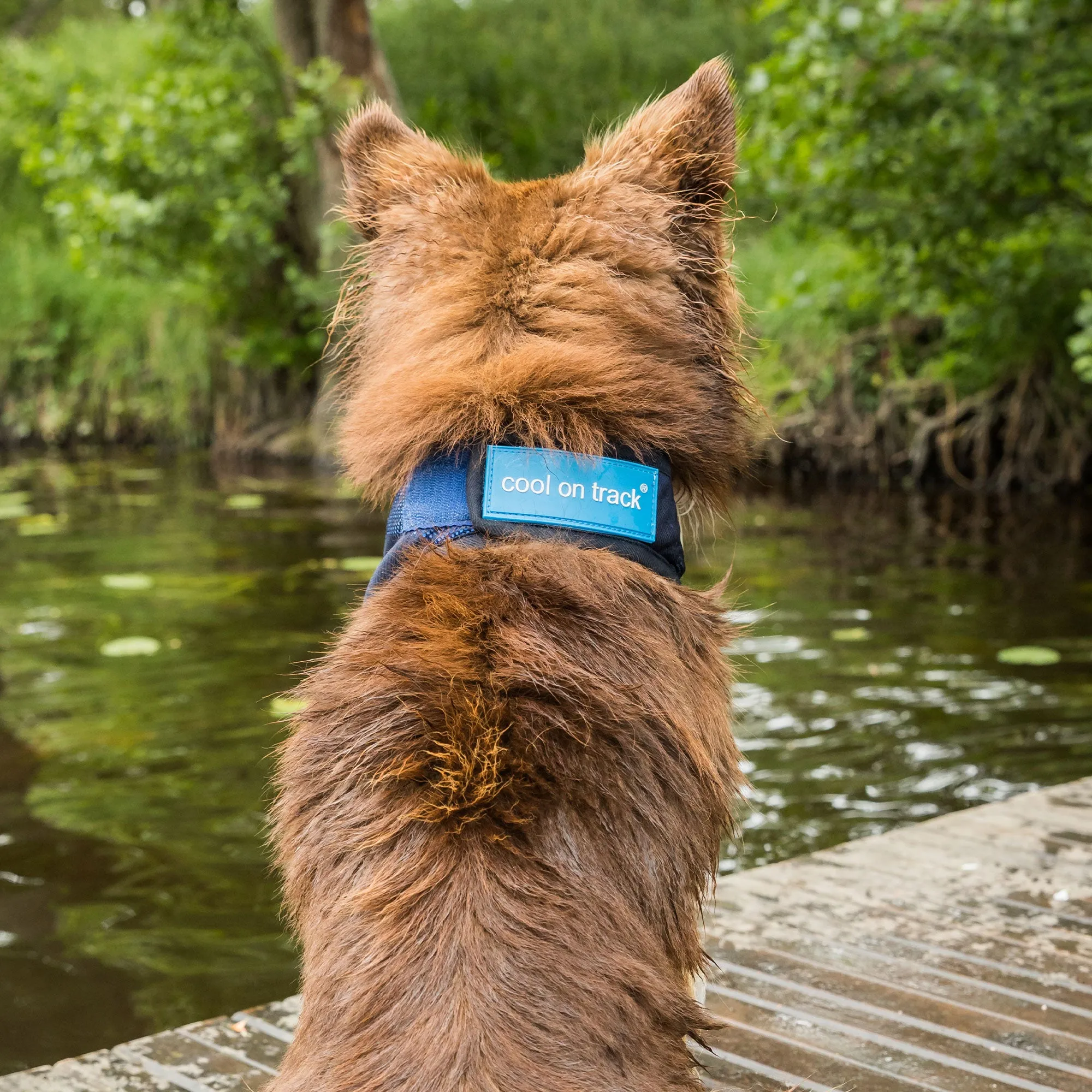 Cool on Track® Cooling Bandana