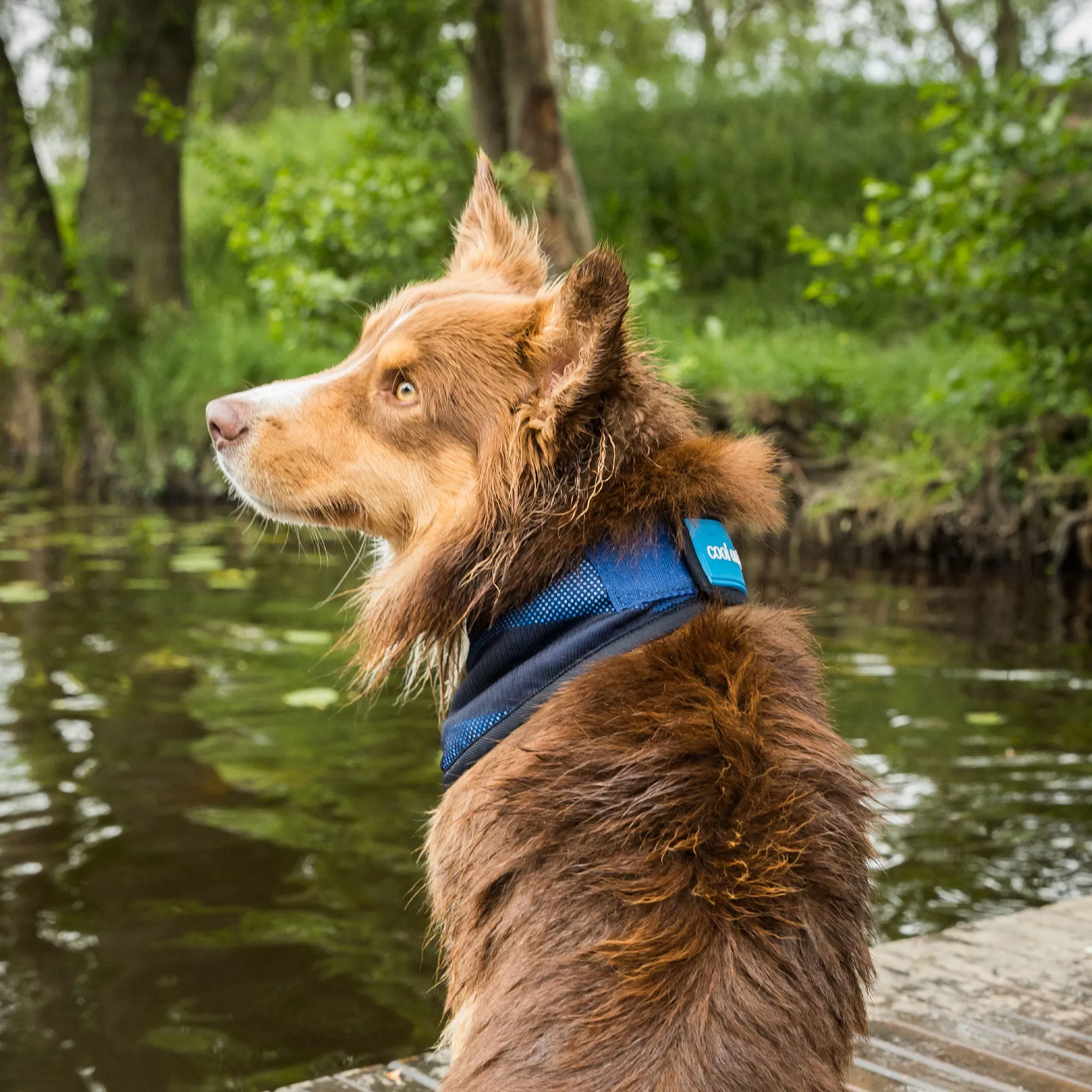 Cool on Track® Cooling Bandana