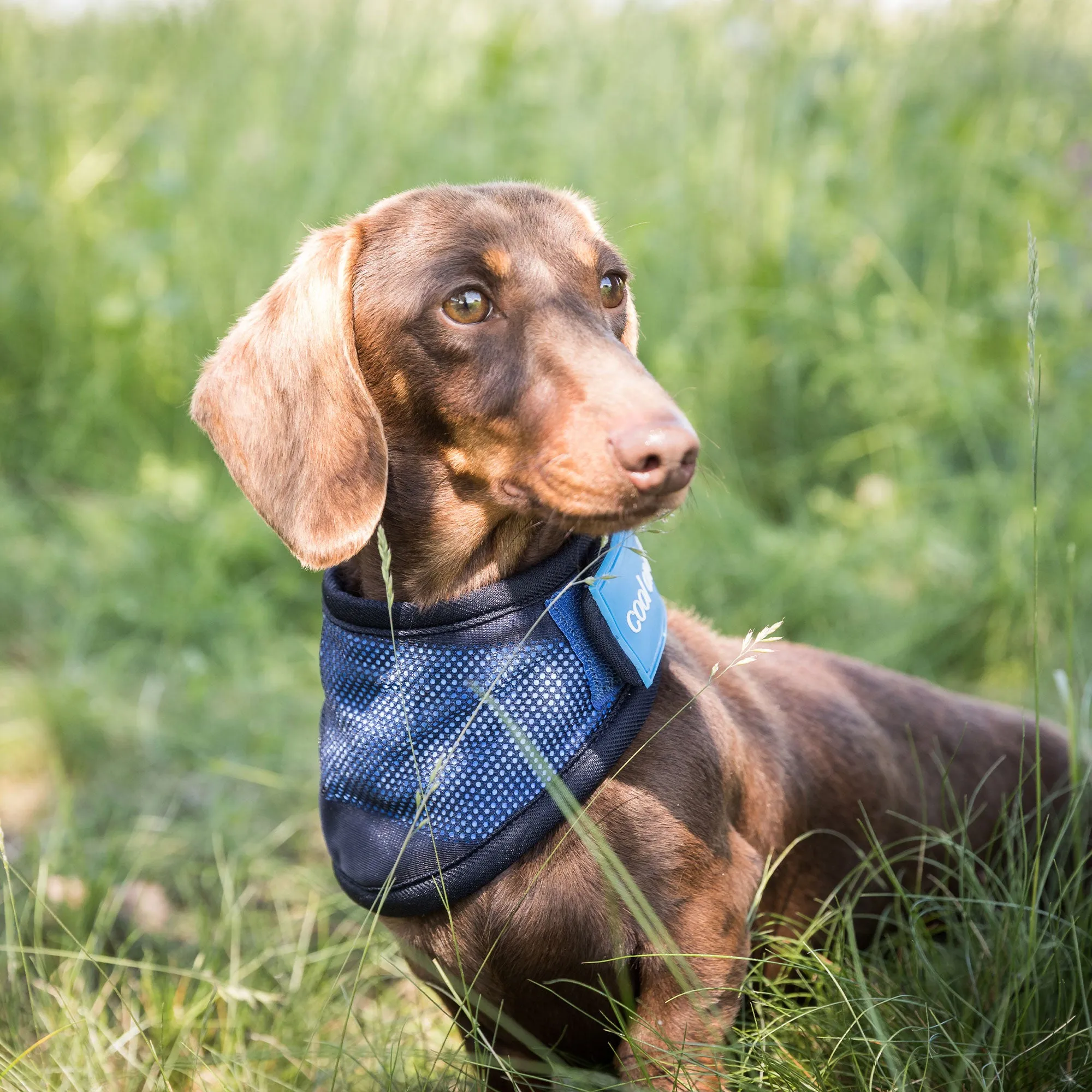 Cool on Track® Cooling Bandana