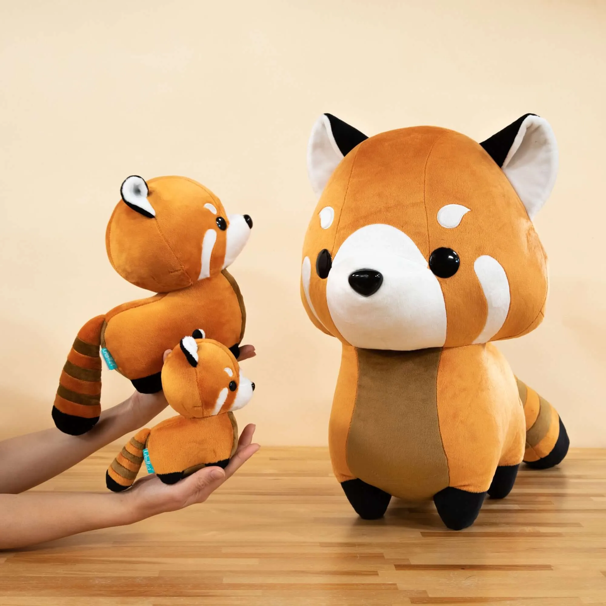 Giant Red Pandi the Red Panda